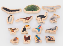 PTICE DRVENE, 15 kom