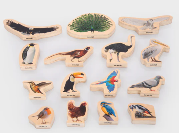 PTICE DRVENE, 15 kom