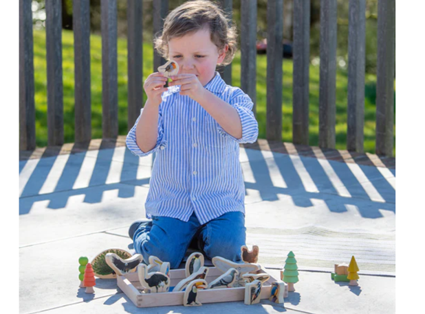 PTICE DRVENE, 15 kom