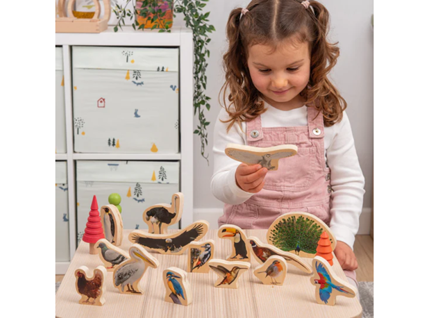 PTICE DRVENE, 15 kom