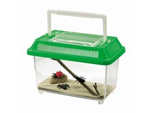 KUTIJE ZA INSEKTE, 2 kom