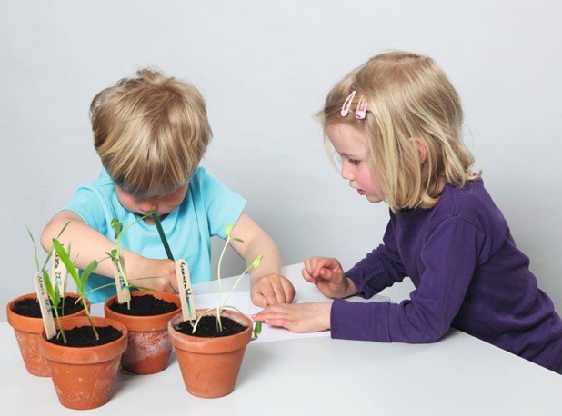 EKSPERIMENTI: PRIRODA I OKOLIŠ