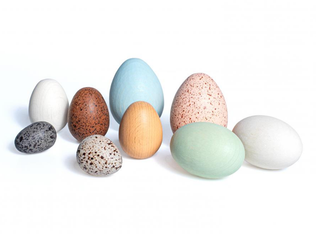 ISTRAŽI PRIRODU: PTIČJA JAJA