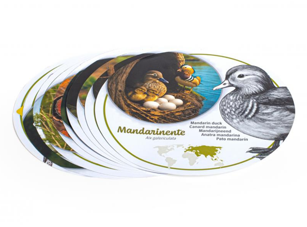 ISTRAŽI PRIRODU: PTIČJA JAJA