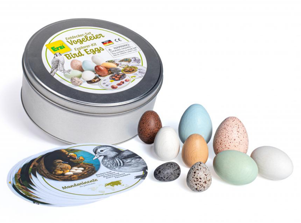 ISTRAŽI PRIRODU: PTIČJA JAJA