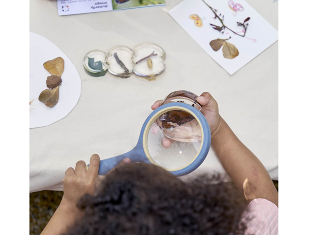 AKRILNA SLAGALICA RAZVOJ LEPTIRA