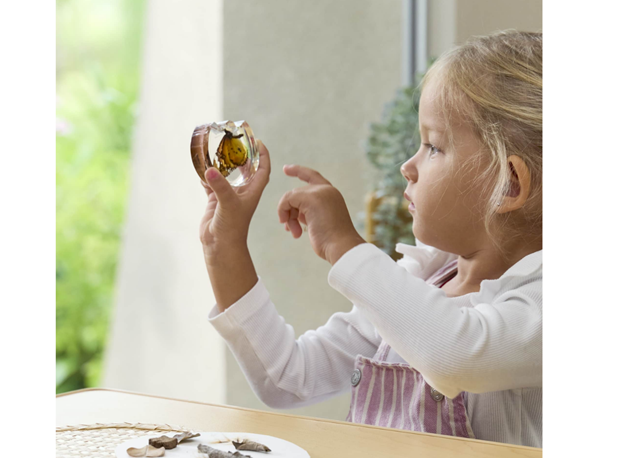 AKRILNA SLAGALICA RAZVOJ LEPTIRA