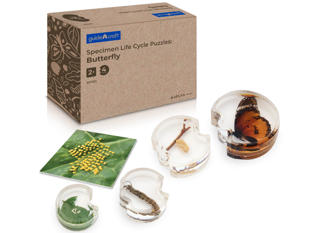 AKRILNA SLAGALICA RAZVOJ LEPTIRA