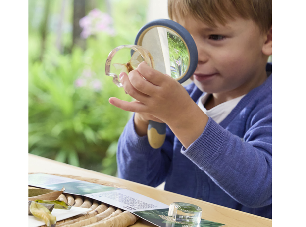 AKRILNA SLAGALICA RAZVOJ NOĆNOG LEPTIRA