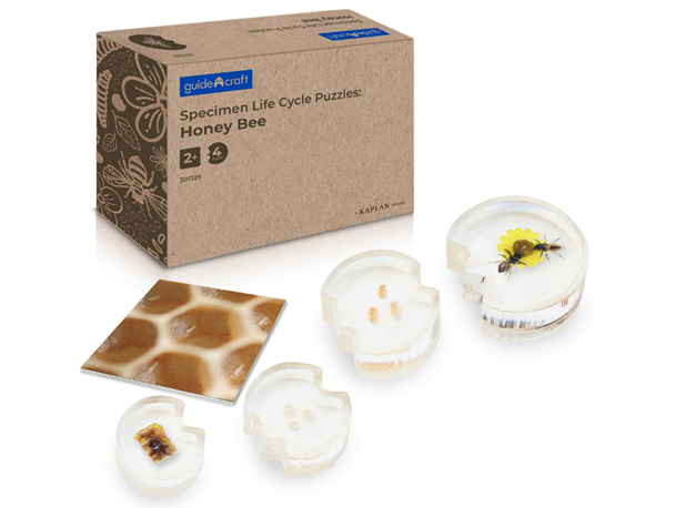 AKRILNA SLAGALICA RAZVOJ PČELE