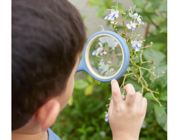 POVEĆALA S DRŠKOM, 4 kom