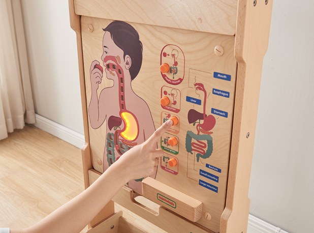 INTERAKTIVNA PLOČA - PROBAVNI SUSTAV