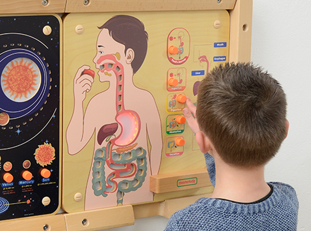 INTERAKTIVNA PLOČA - PROBAVNI SUSTAV