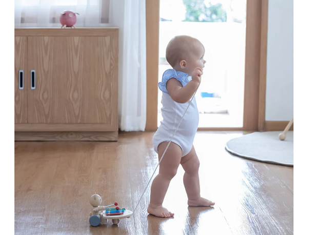 MUZIKALNI MEDO ZA POVLAČENJE