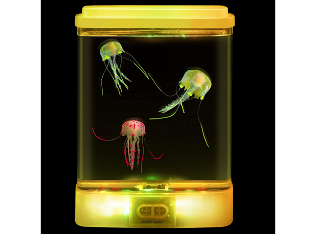 MALI AKVARIJ S MEDUZAMA