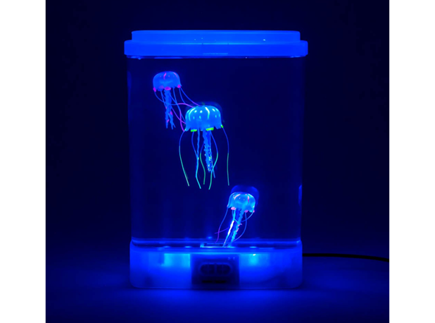 MALI AKVARIJ S MEDUZAMA