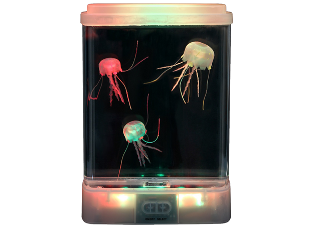 MALI AKVARIJ S MEDUZAMA