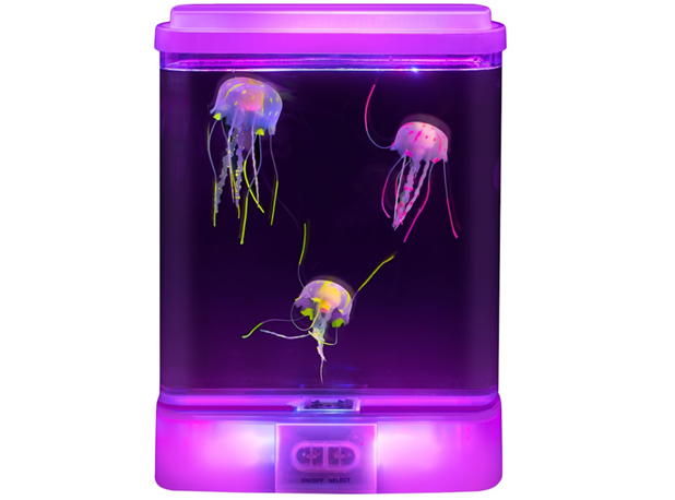 MALI AKVARIJ S MEDUZAMA