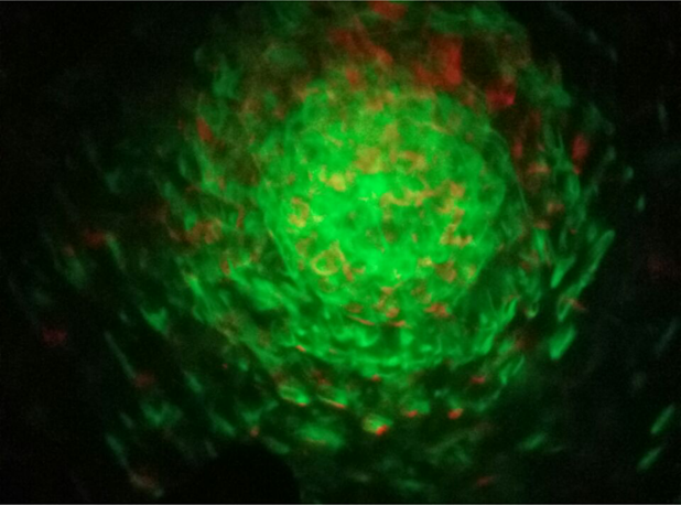 LED PROJEKTOR OBLACI I VODA