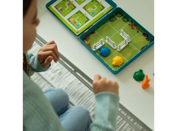 LOGIČKA IGRA STRATEGIJA KORNJAČA