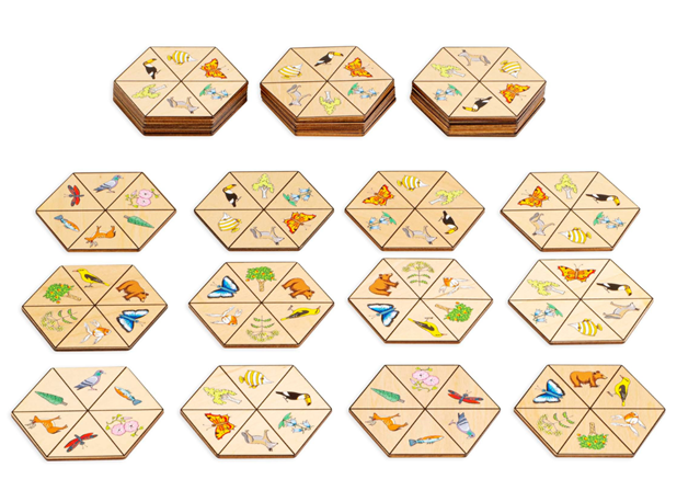 IGRA HEXAGON - PRIRODA