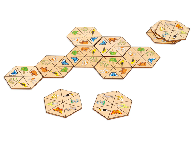 IGRA HEXAGON - PRIRODA