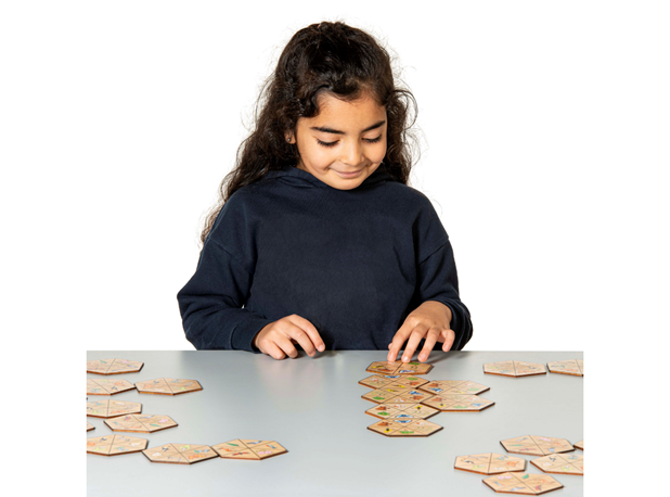 IGRA HEXAGON - PRIRODA