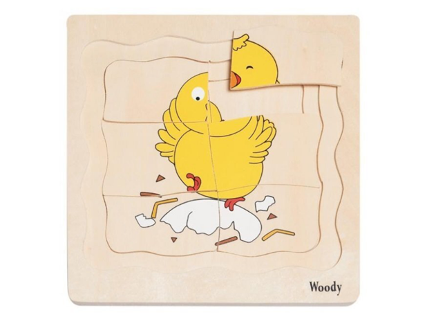 SLAGALICA RAZVOJ KOKOŠI, 18 x 19 cm